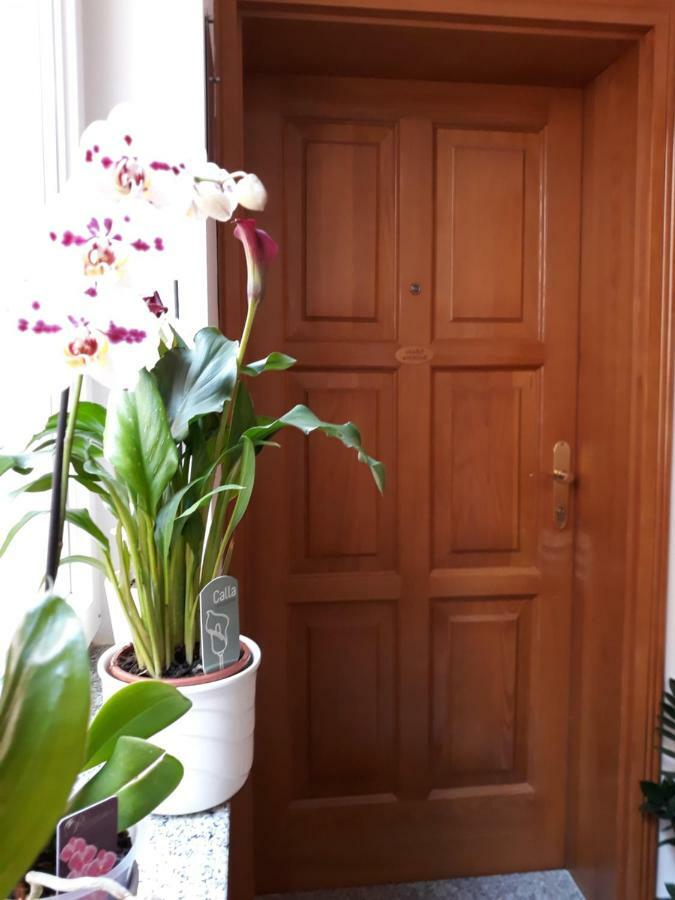 Apartamento Maristela Rovinj Exterior foto