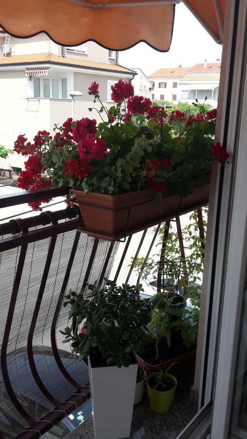 Apartamento Maristela Rovinj Exterior foto